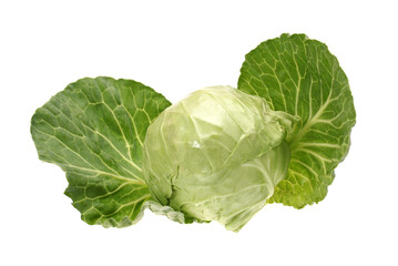Obraz premium Fresh cabbage isolated on white background