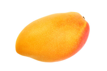 Mango on white background