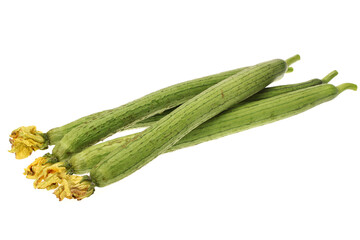fresh loofah on the white background 