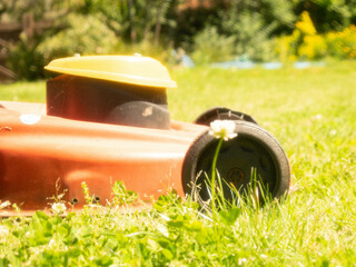 grass cutting in summer