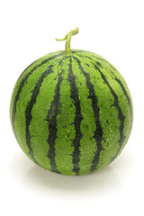 watermelon on a white background