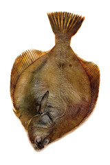 Obraz premium Psetta maxima (Turbot Fish) isolated on white background 