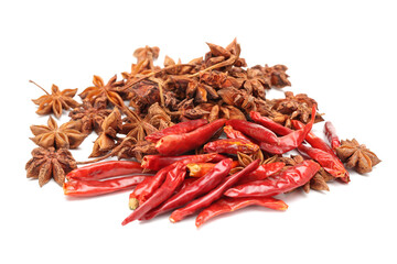 Dried Spices on the white background