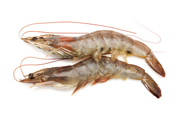 raw shrimps on white background.