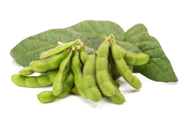 green soy bean on white background