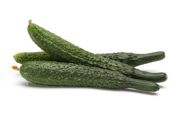 cucumber on a white background