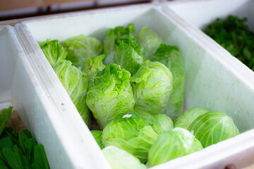 fresh lettuce in a basket