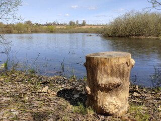 Naklejka premium Wooden stump on the background of a blue lake. Spring landscape in sunny weather. Ripples on the water surface of the pond.