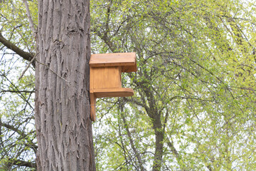 A birdhouse hanging from a tree in the park