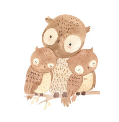 Watercolor mother and baby owl. Woodland animal illustration for kids