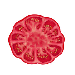 Red pink tomato in section, section view from the top fleshy tomato hand-drawn realistic illustration isolated on a white background, 3d illustration, vegetarian vegetable. For printing and design.