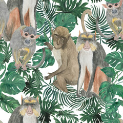 Tropical seamless pattern with monstera, palm leaves and cute monkeys. Hand painting with watercolor - 505333410