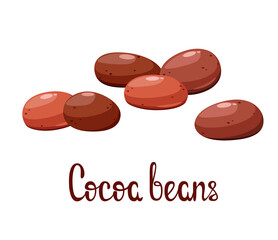 Cocoa beans on a white background. Vector illustration.
