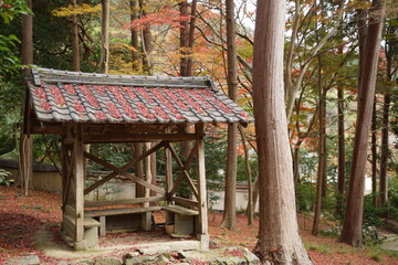 Fototapeta na wymiar 京都の山科の毘沙門堂の紅葉