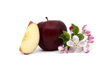 Red apple next to apple slices and apple blossoms