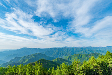御荷鉾スーパー林道展望台から見える山々とカラマツ林　群馬県