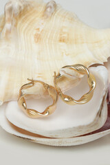 Earrings product shot. Golden hoops on marine shell background. Jewelry fashion photography.