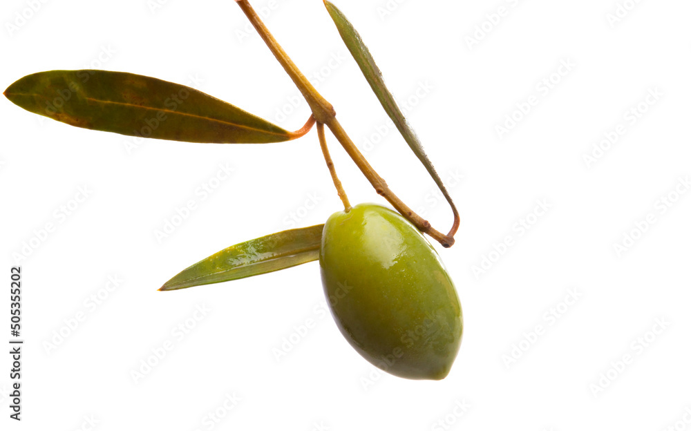 Poster pickled olives isolated