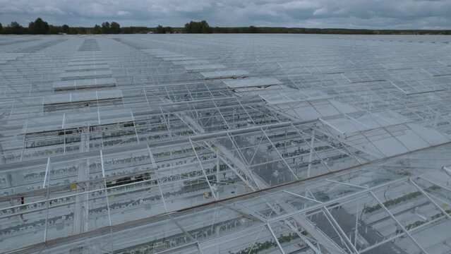 Aerial photography of a greenhouse complex through a transparent roof