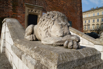 Stone statue of a sleeping lion in front of the Town Hall Tower Kraków on the Main Market Square...