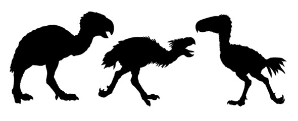 Prehistoric birds of prey. Kelenken, titanis and gastornis. Silhouette drawing with extinct predators terror birds.