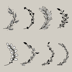 doodle flower and branches of leaves vector set from free hand drawn