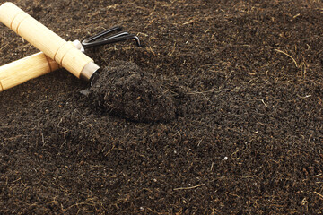 Close up fertile loamy soil for planting on spoon with copy space. Plant Nutrients, Macronutrients,Micronutrients. Agriculture concept.