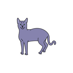 cat breed russian blue contour sketch doodle illustration.