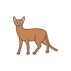 cat breed abyssinian contour sketch doodle illustration.