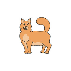 cat breed maine coon contour sketch doodle illustration.