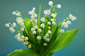 Foto op Plexiglas すずらんの花束 © fu
