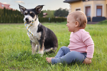 Adorable baby and furry little dog on green grass outdoors