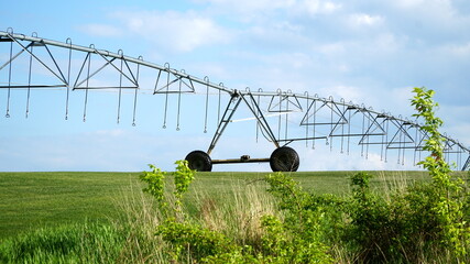 Garden field and irrigation equipment. Wheel line sprinkler irrigates field in fertile farm fields....