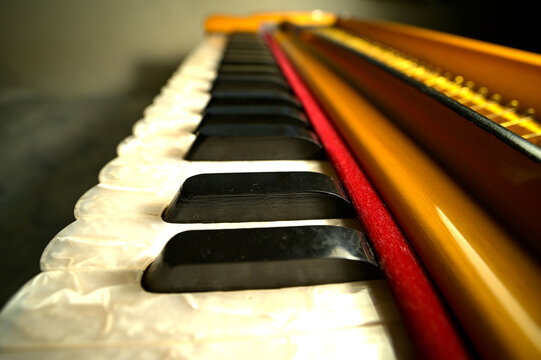 Close up of harmonium keyboard.