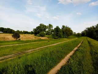 wał wiślany nad Wisłą, polski krajobraz, lato w Polsce, soczysta zieleń 