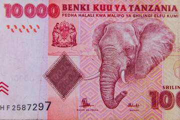 Macro shot of the ten thousand tanzanian shillings banknote