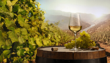 Design for card, magazine or brochure cover. White wine glass and bunch of grapes on wooden barrel...