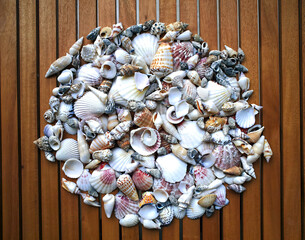 Various sea shells and clams forming a circle on wood stripes, top view close up