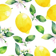 Watercolor seamless pattern of a lemon branch with leaves and citrus.Hand drawn watercolor painting on white background.