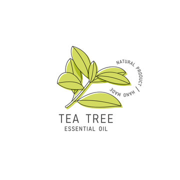 Vector Packaging Design Element And Icon In Linear Style - Tea Tree Oil - Healthy Vegan Food. Logo Sign.