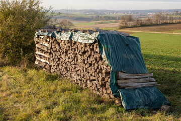 Ein Holzstapel, abgedeckt mit einer grünen Plastikplane vor einer Landschaft (Holzwirtschaft /...