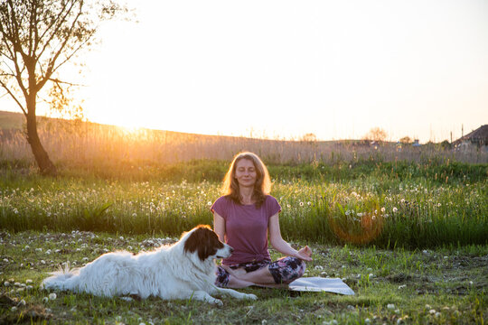 woman doing yoga with dog  at sunset
