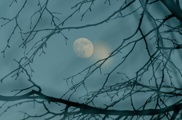 thin black tree branches against a smoky gray-blue sky and a large blurred full moon
