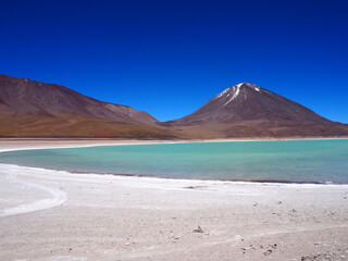 Fototapeta na wymiar Panoramic view of a track on the altiplano in Bolivia. Lama standing in a beautiful South American altiplano landscape