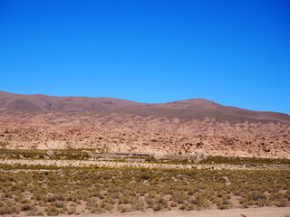 Panoramic view of a track on the altiplano in Bolivia. Lama standing in a beautiful South American altiplano landscape