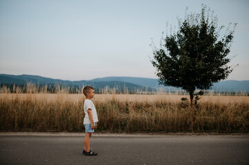 Little boy is standing in the field of wheat in summer