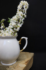 Beautiful porcelain vase with blossoming apple tree branches
