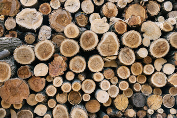 Wall of stacked brawn wood logs as background.