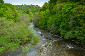 Fototapeta na wymiar The River Allen near Whitfield in Northumberland, UK