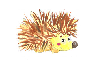 Drawing of a hedgehog in nature. Sun, grass and blue sky. Children's illustration. Watercolor drawing.